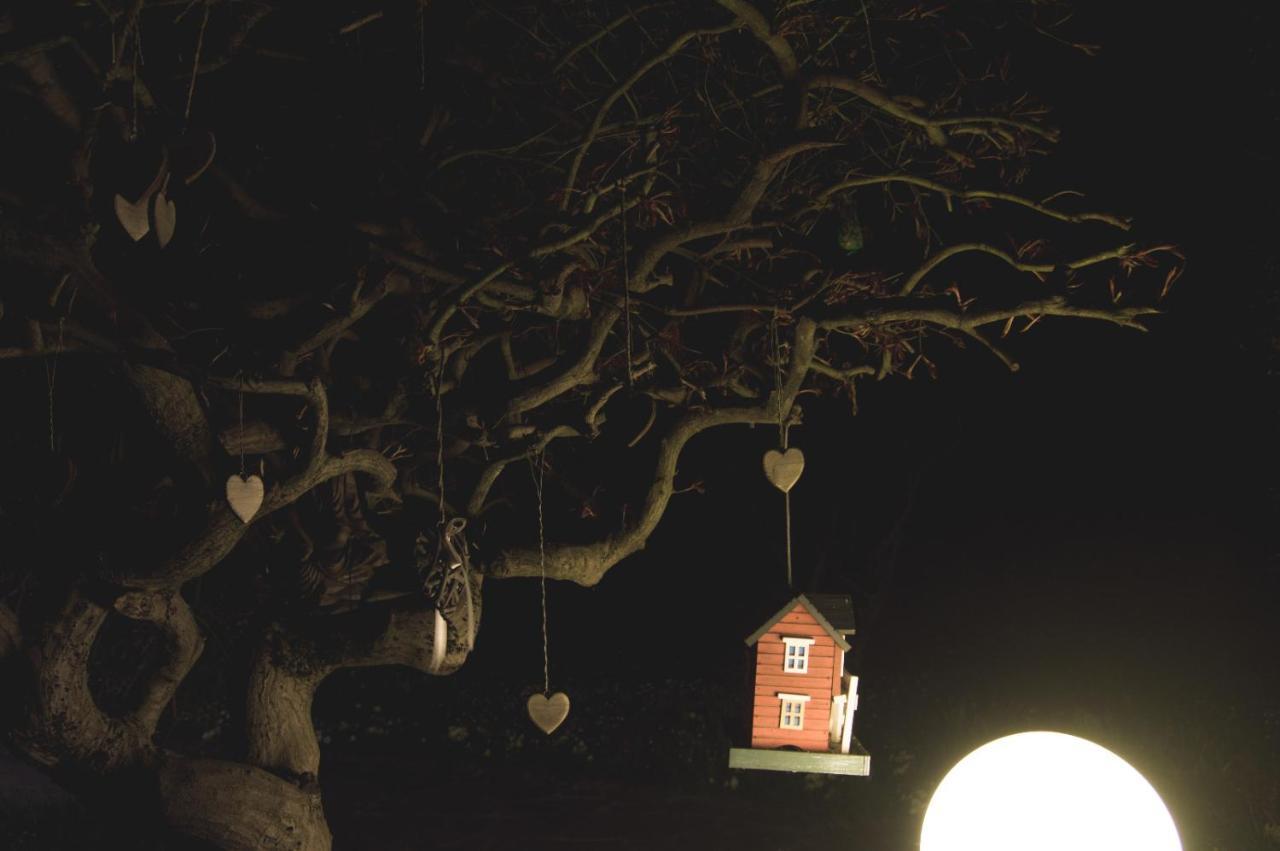 Bed and Breakfast La Moia Cerete Exterior foto